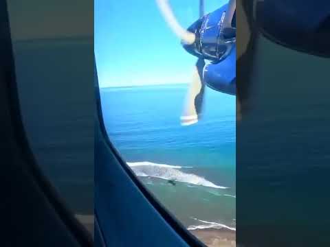 Let L-410 da Aerocord sobre &quot;Bag strike&quot;